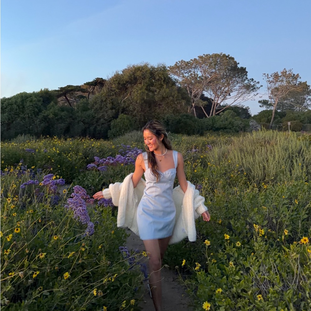 Christopha Mini Dress - Blue